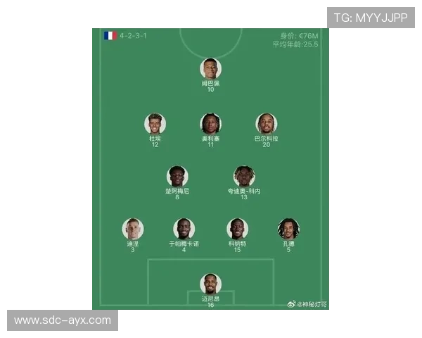 法国队伤病名单更新多名主力出战成疑